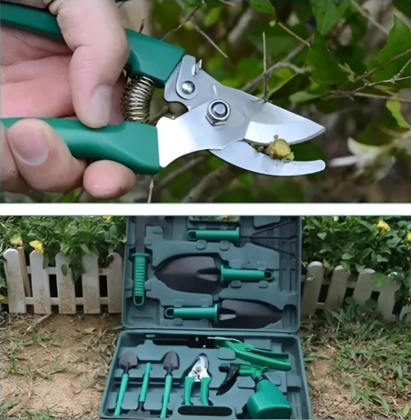 Set de Herramientas para Jardinería con Estuche